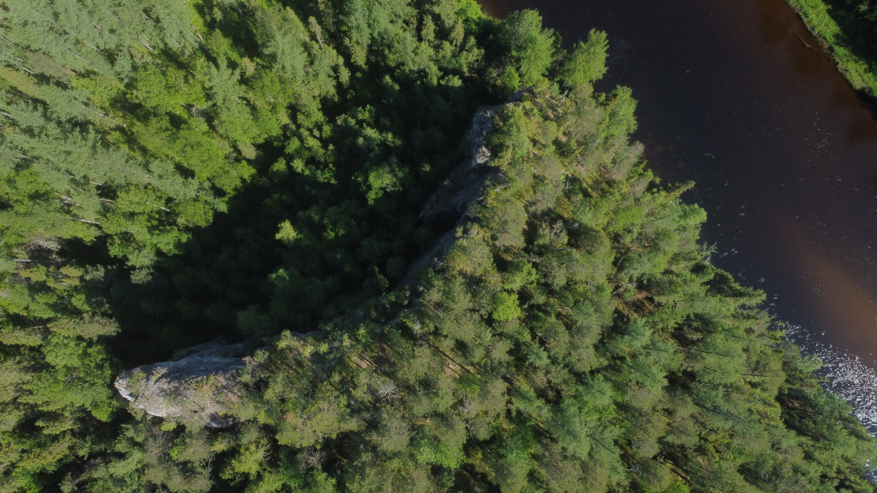Сейчас древняя крепость выглядит как скала посреди лесного массива. Фото: Дмитрий Сотников