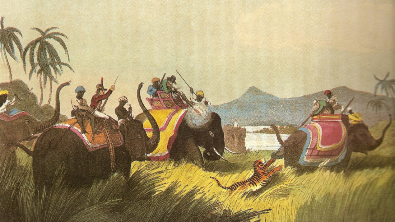 Tiger hunting in India. Photo: https://ru.wikipedia.org
