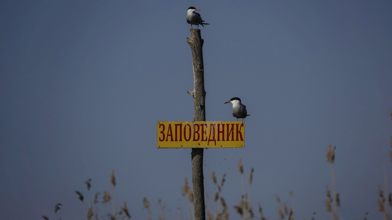 Environmental protection is one of the main activities of the RGS. Photo: Anna Lukyanchikova, participant of the RGS's contest 