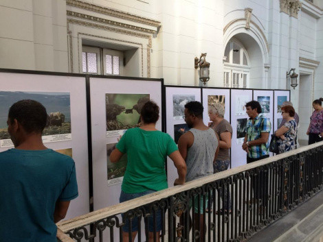 Photo was provided by the exhibition organizers