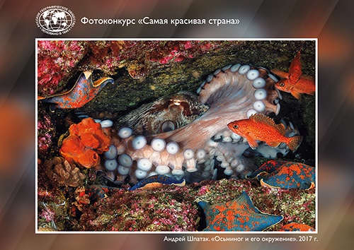 Изображение предоставлено АО