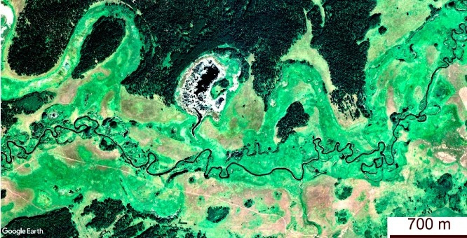 На космическом снимке видны древние излучины в пойме реки Кулунда. Фото: географический факультет МГУ.