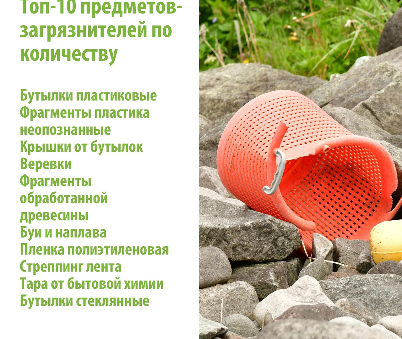 Графика проекта Кроноцкого заповедника