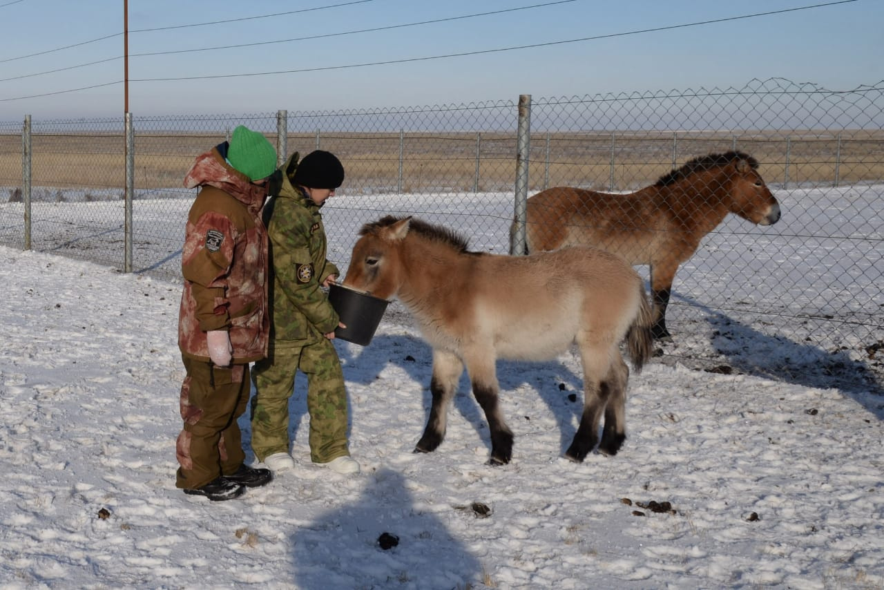 Фото предоставлено пресс-службой Оренбургского заповедника