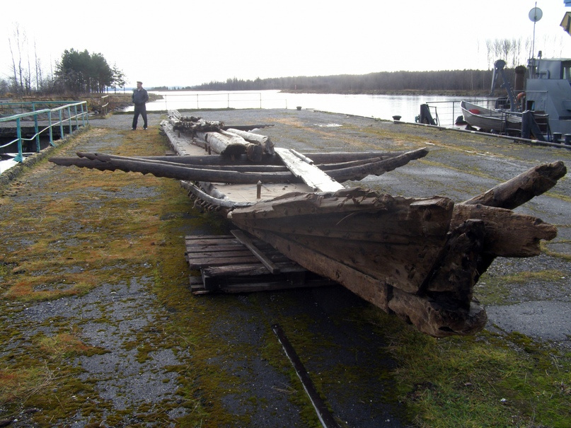 Фото предоставлено Вологодским областным отделением РГО