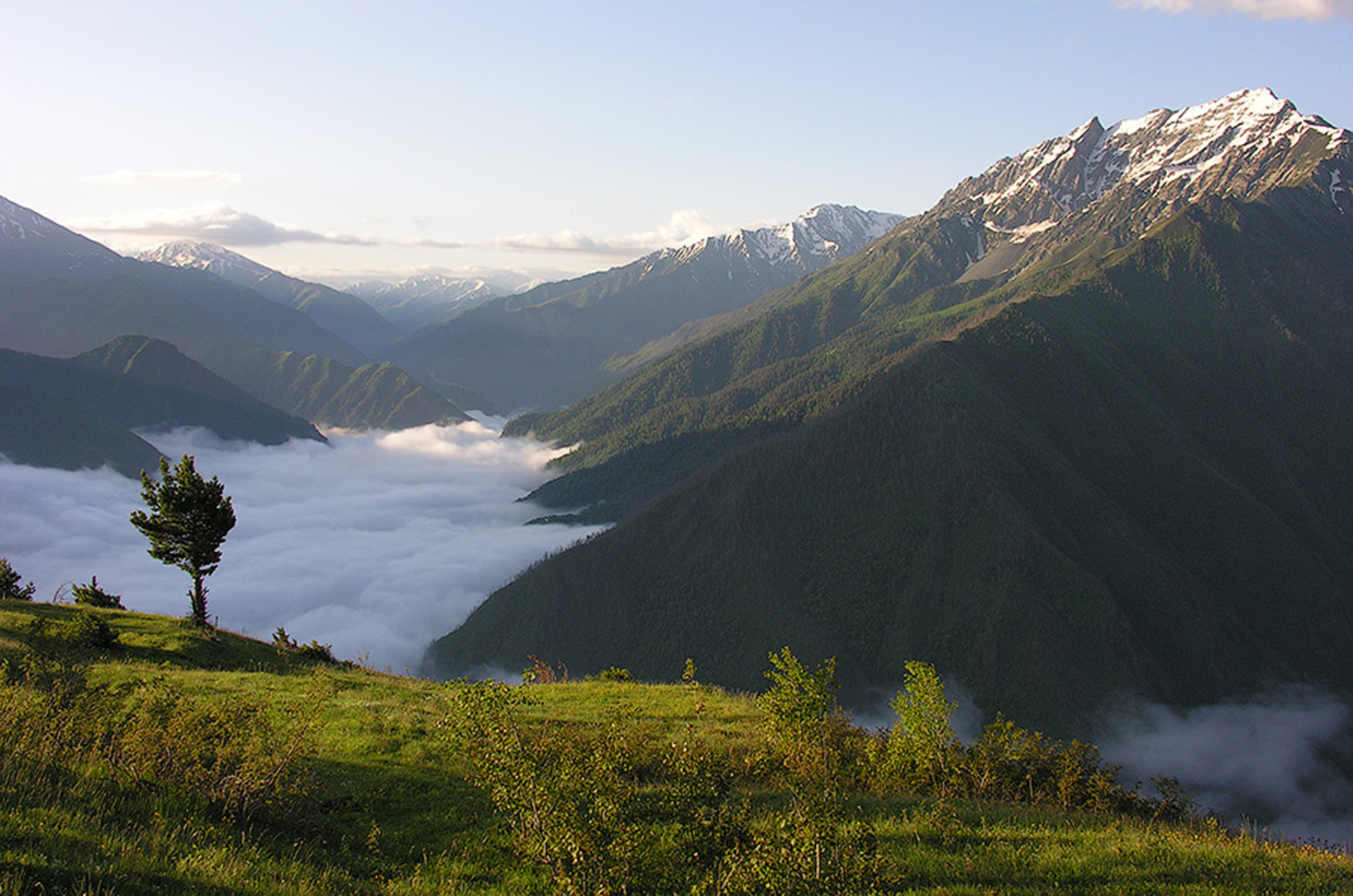 Заказник