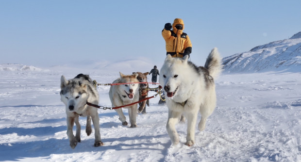 По утоптанному снегу собаки в упряжке держат темп в 15 км/ч. Фото: MZUNGU EXPEDITIONS
