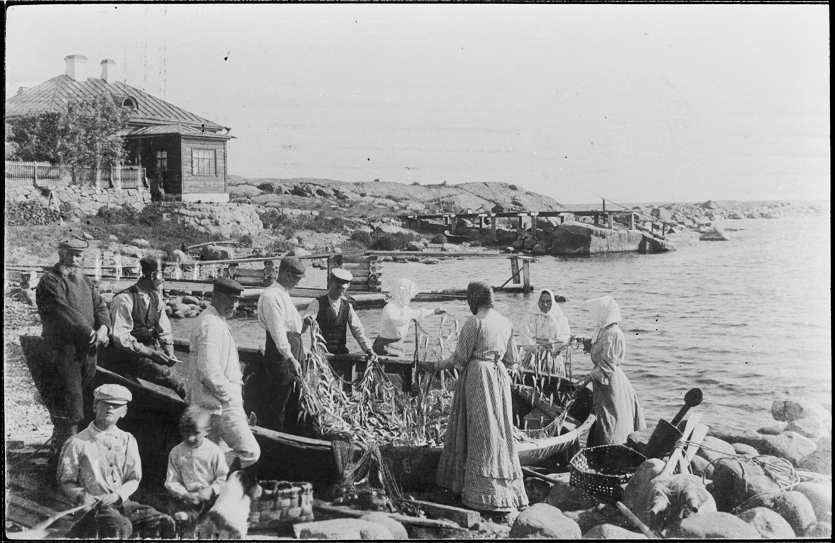 Жители острова Соммерс достают улов из сетей. 1908 год. Фото: finna.fi/Александр Садовников