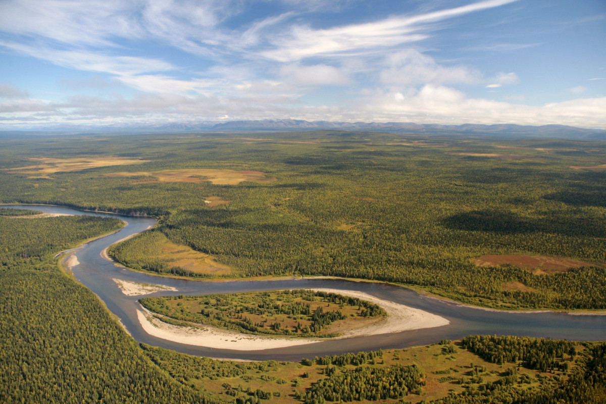 Печорское Приуралье и река Щугор. Фото: Владимир Горбатовский