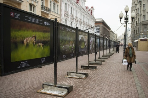 Exhibition on the Arbat. Photo by the RGS press service