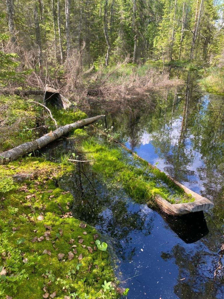 Фото: Александра Моисеева