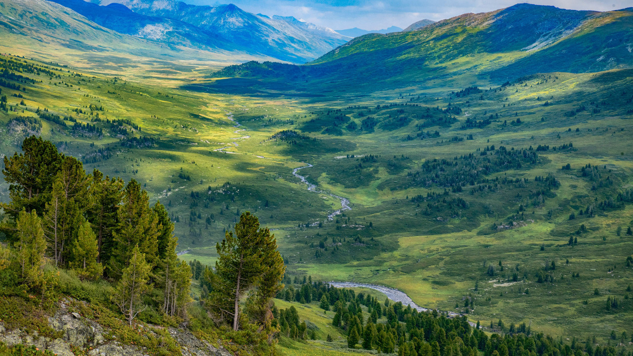 Природа Казахстана. Фото: unsplash.com