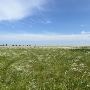 Коллекционный участок