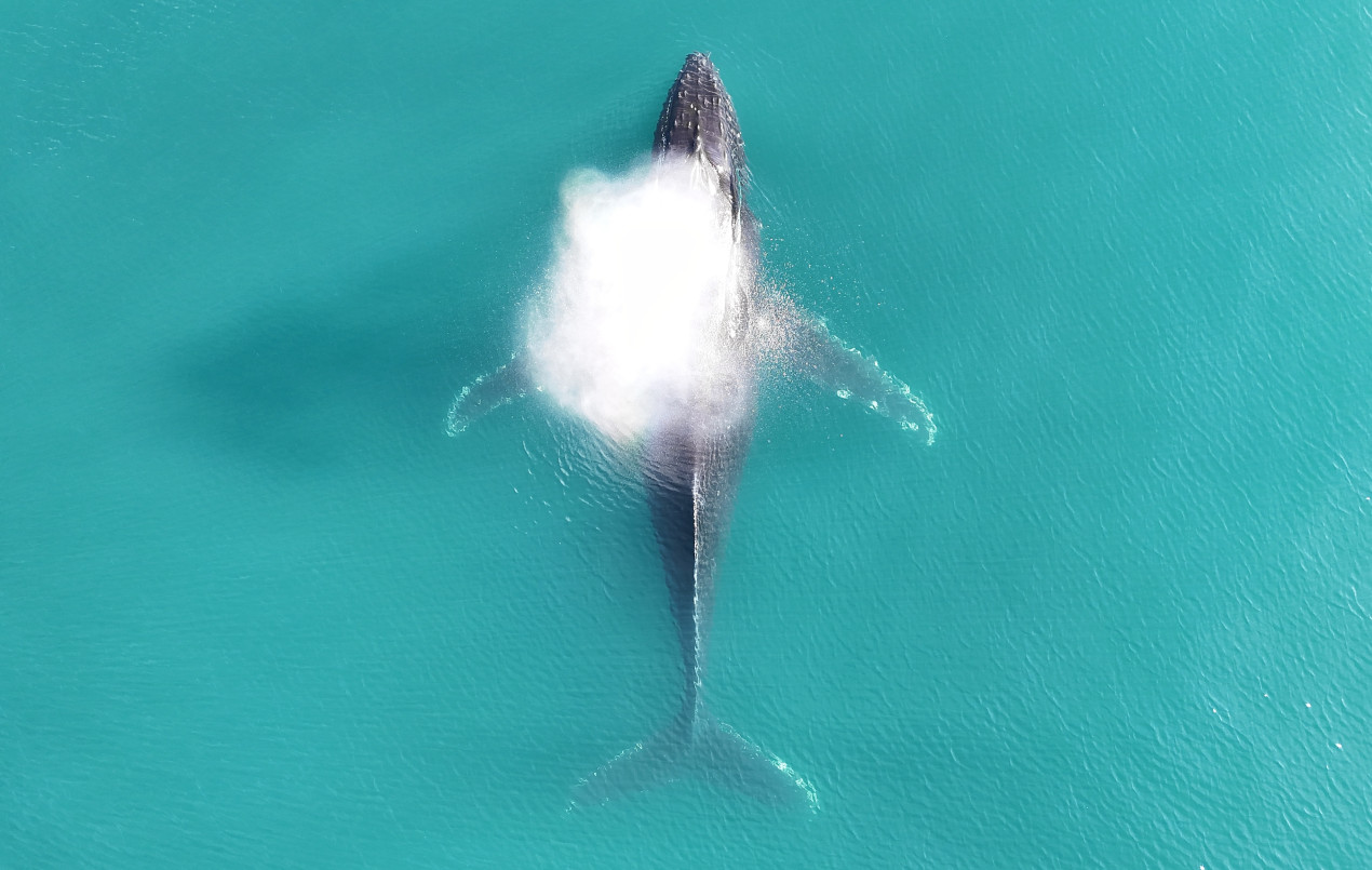 Хозяин всех морей. Фото: Алина Ковалева, участница конкурса РГО 