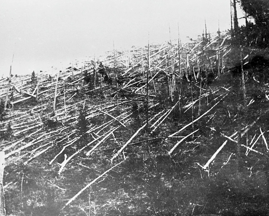 Поваленные деревья на месте тунгусского события. Фото: wikimedia.org