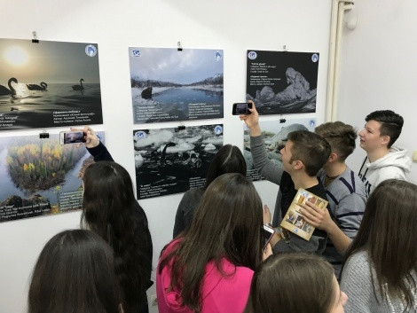 Photo is provided by the exhibition organizers