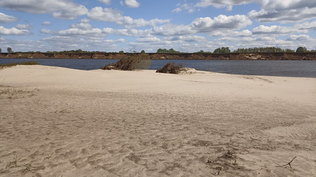 Илистые наносы. Фото: Сергей Сычев, участник конкурса РГО «Самая красивая страна»