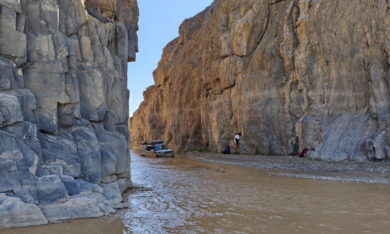 Фото: Н. Носов