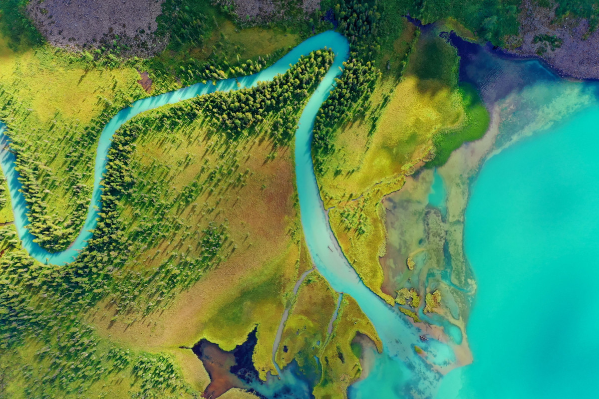 Алтай. Фото: Павел Ившин