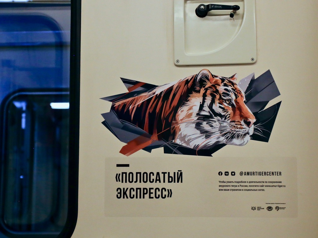 Фото предоставлено Центром