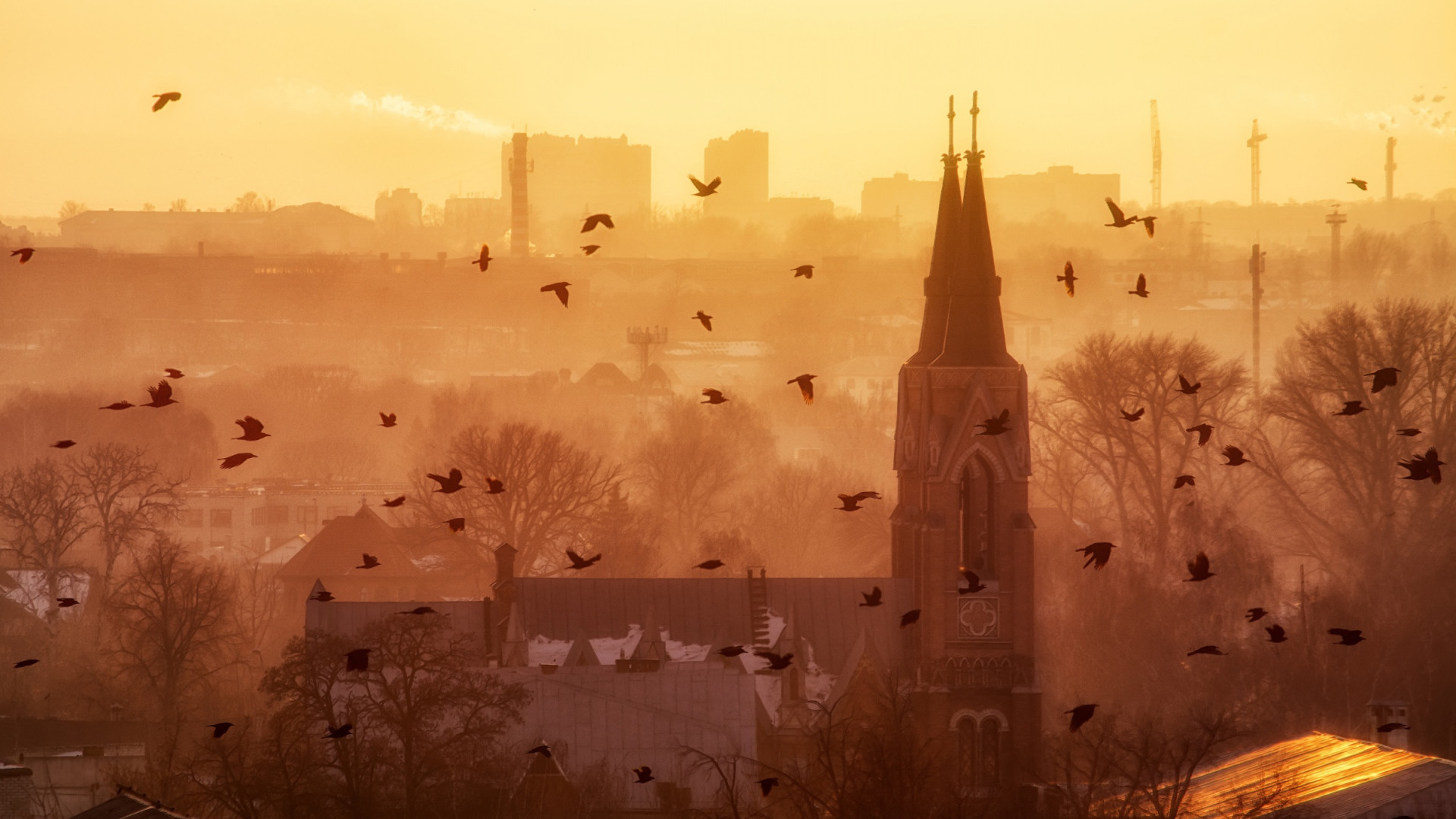Photo by Valery Gorbunov