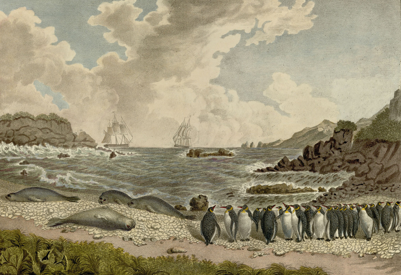 Вид острова Маквари, запечатлённый во время экспедиции Беллинсгаузена. Фото: из иллюстраций к Атласу Беллинсгаузена