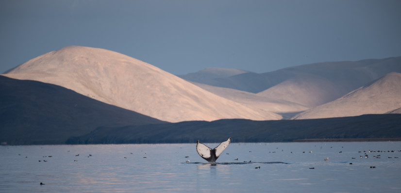 Фото: Борис Гукайло