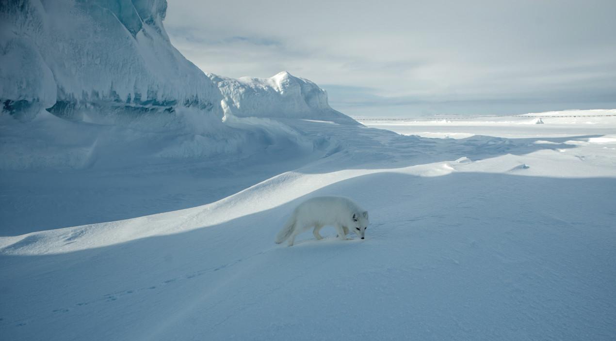 A local resident. Photo: Vadim Shtrik / GeoPhoto