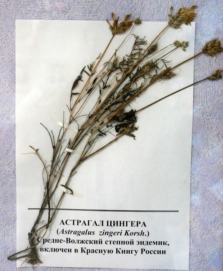 Фото: wikipedia.org/Сергей Сорокин