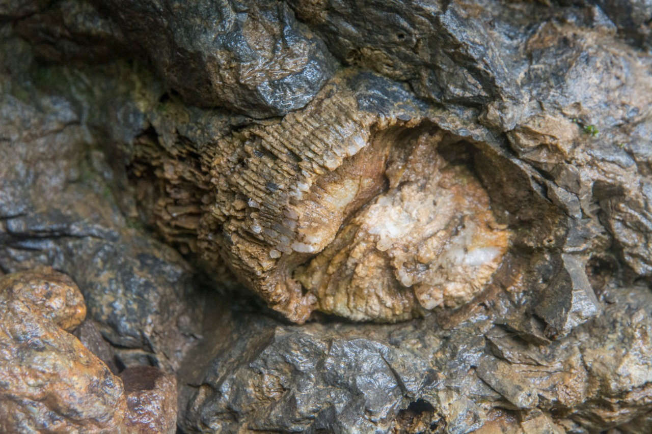 Камень с