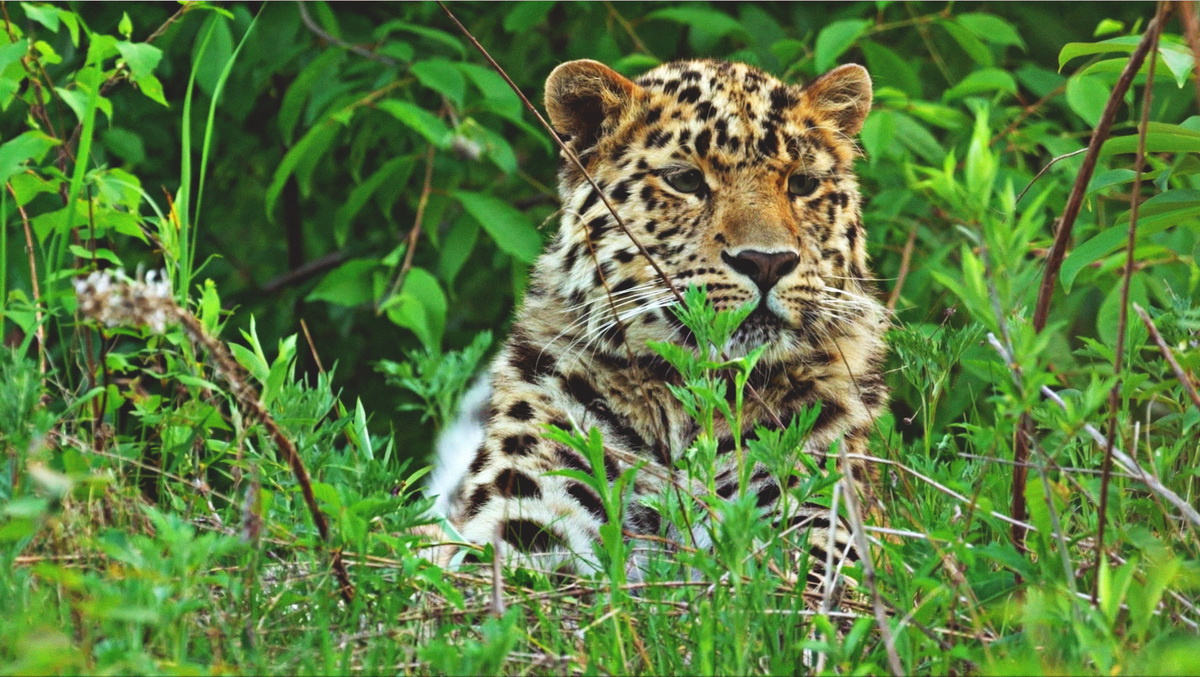 Фото: сайт ФГУП