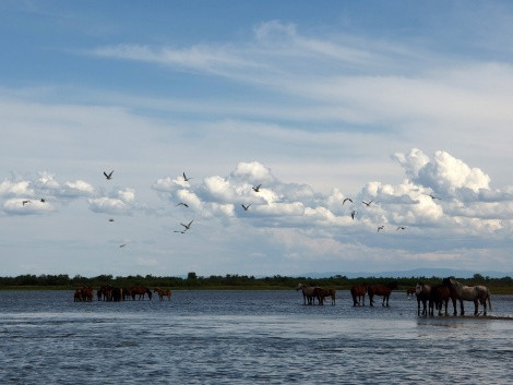The photo is provided by the participants of the expedition