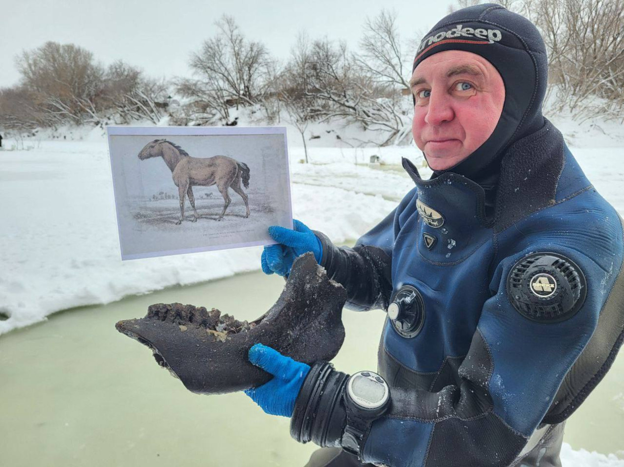 The jaw of a prehistoric horse. Photo: Vladislav Derbyshev / Sverdlovsk Regional Branch of the RGS