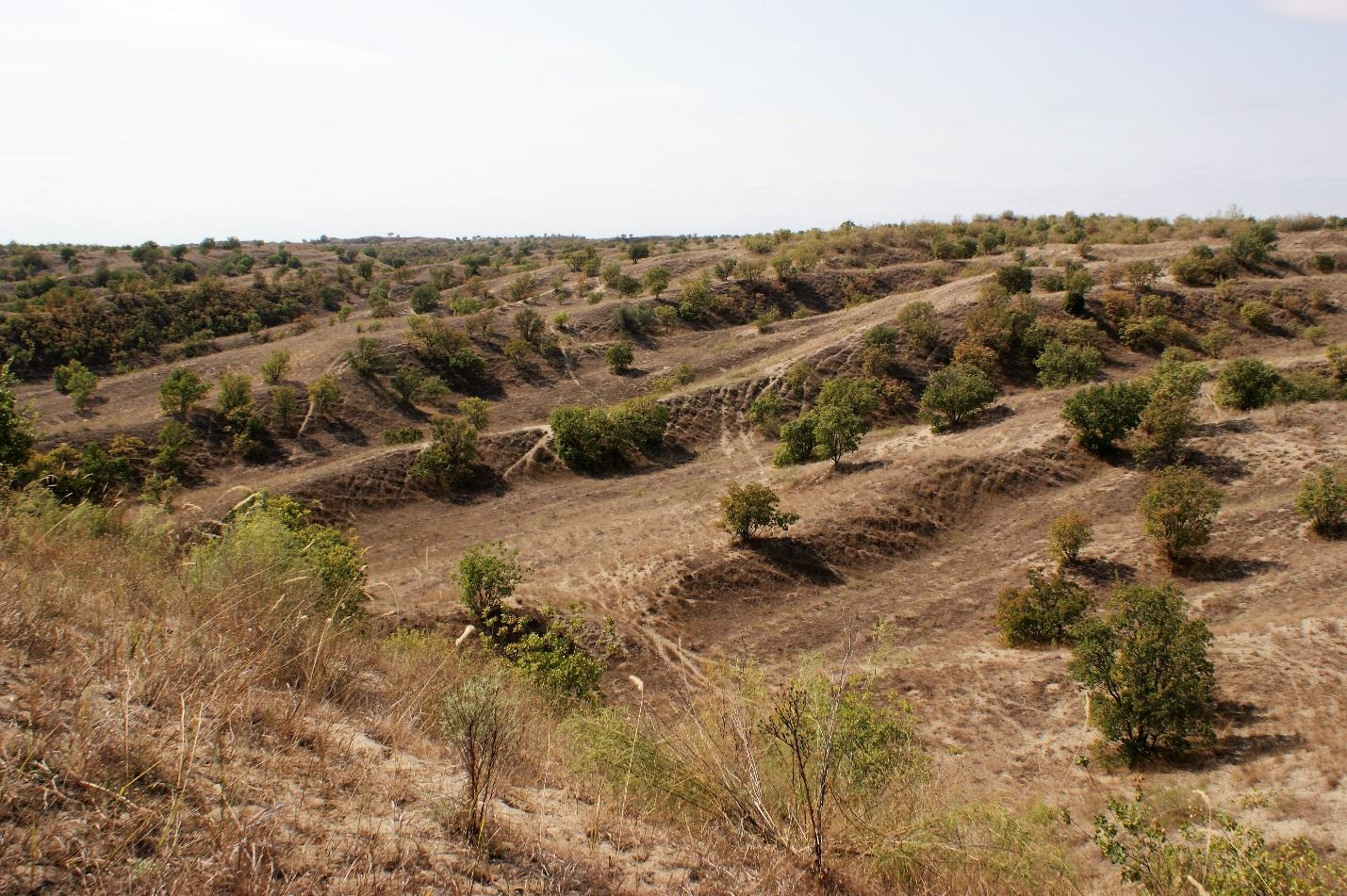 Фото предоставлено Дагестанским республиканским отделением РГО