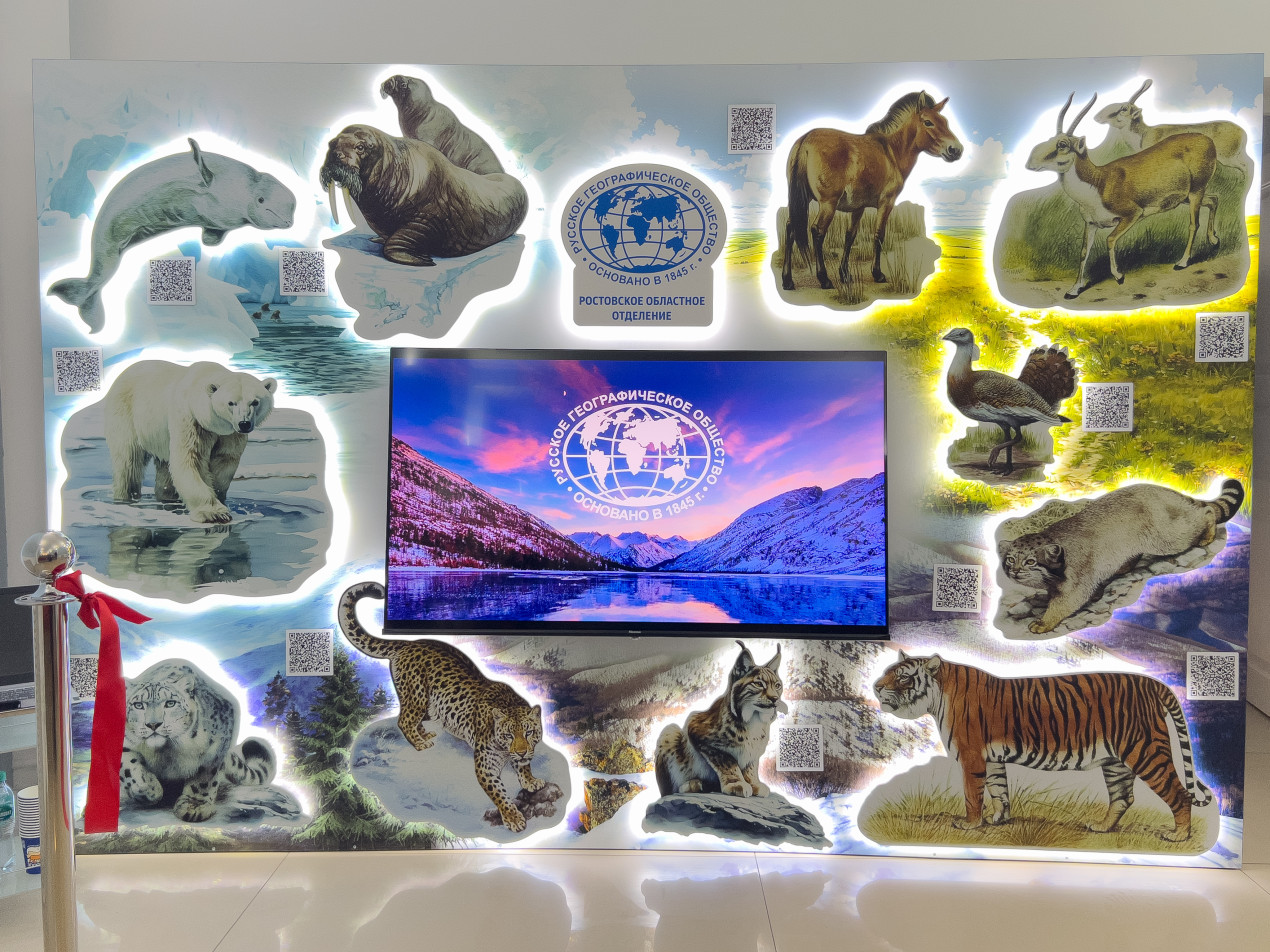Интерактивный стенд выставки. Фото: Елена Чумак / Ростовское областное отделение РГО