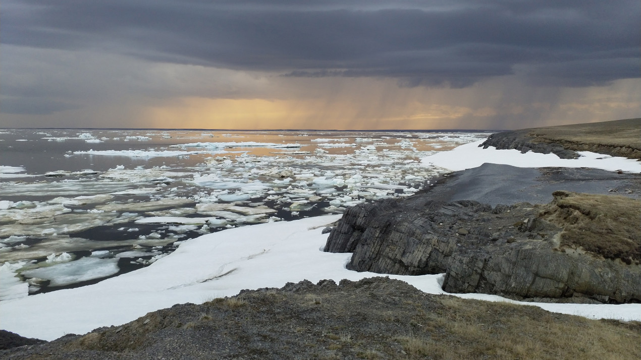 On the island of Vaygach. Photo: Svetlana Ikonnikova, participant of the RGS’s contest 