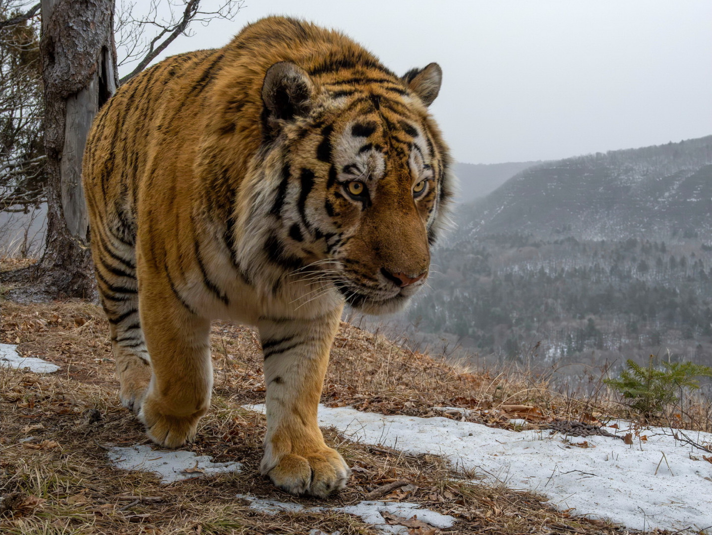 Фото: Сергей Горшков