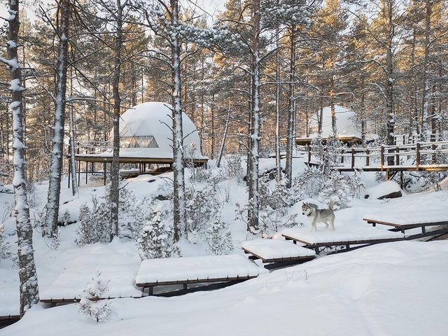 Комфортный отдых среди дикой природы. Фото: instagram.com/lagoladoga