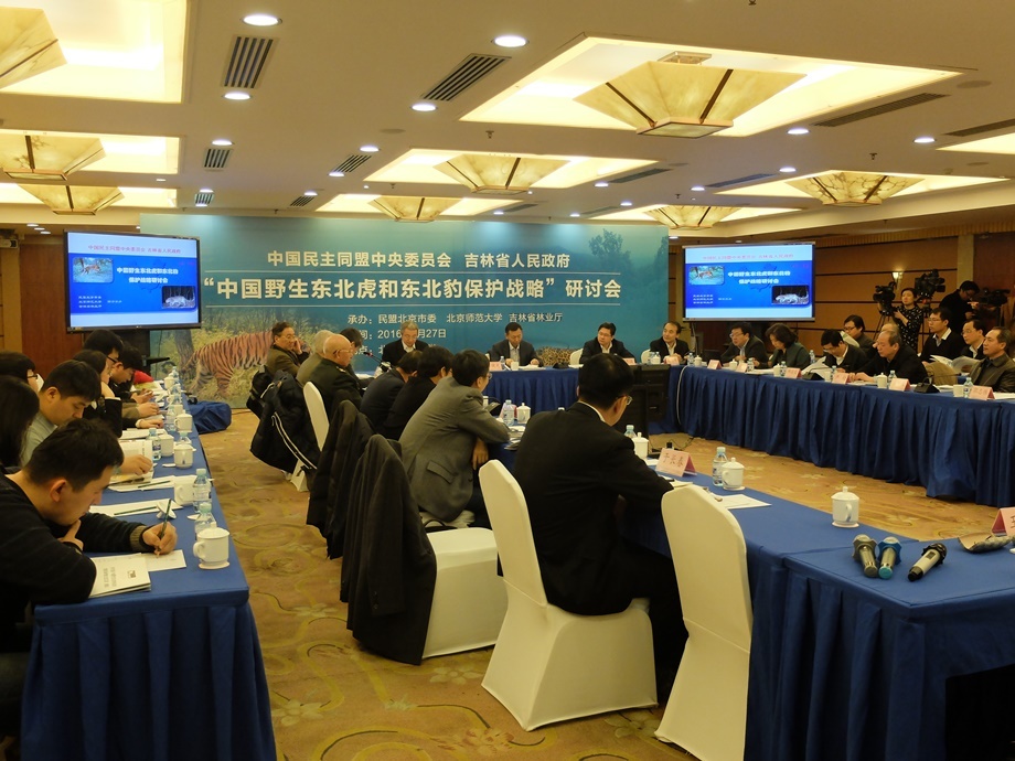 Правительственная встреча в Пекине. Фото предоставлено ФГБУ 