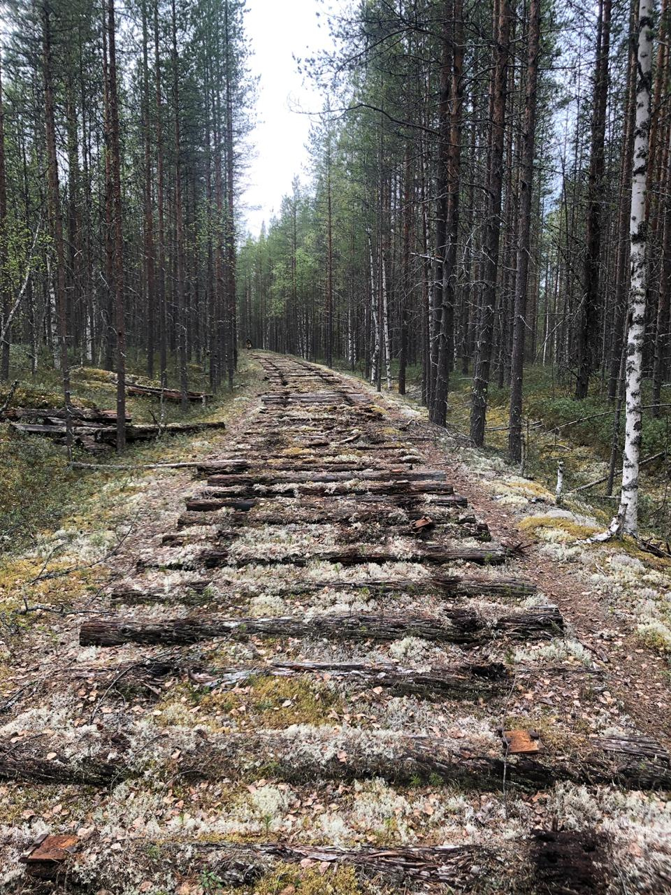 Фото предоставлено участниками экспедиции