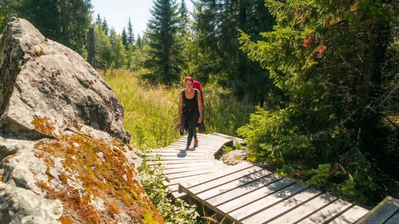 Некоторые участки Большой уральской тропы вполне комфорты для прогулок . Фото предоставлено Оксаной Лыткиной