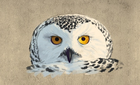 Sketch of graffiti