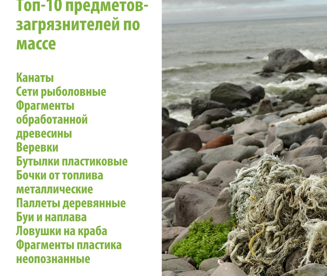 Графика проекта Кроноцкого заповедника