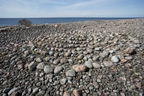 Ancient stone labyrinths on the island of South Virgin