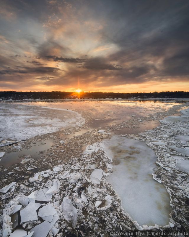 Ледоход на Северной Двине. Фото: Илья Дровнин