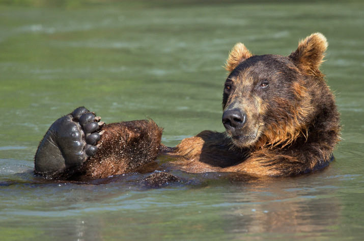 Фото: Геннадий Юсин