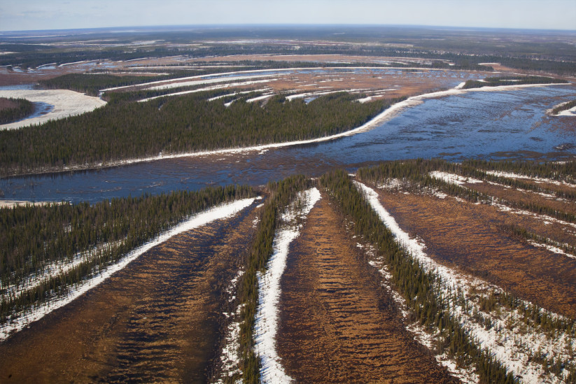 Республика Коми, Пойма реки Колва на севере от Усинска. Фото: Сергей Чарушин, участник фотоконкурса «Самая красивая страна»