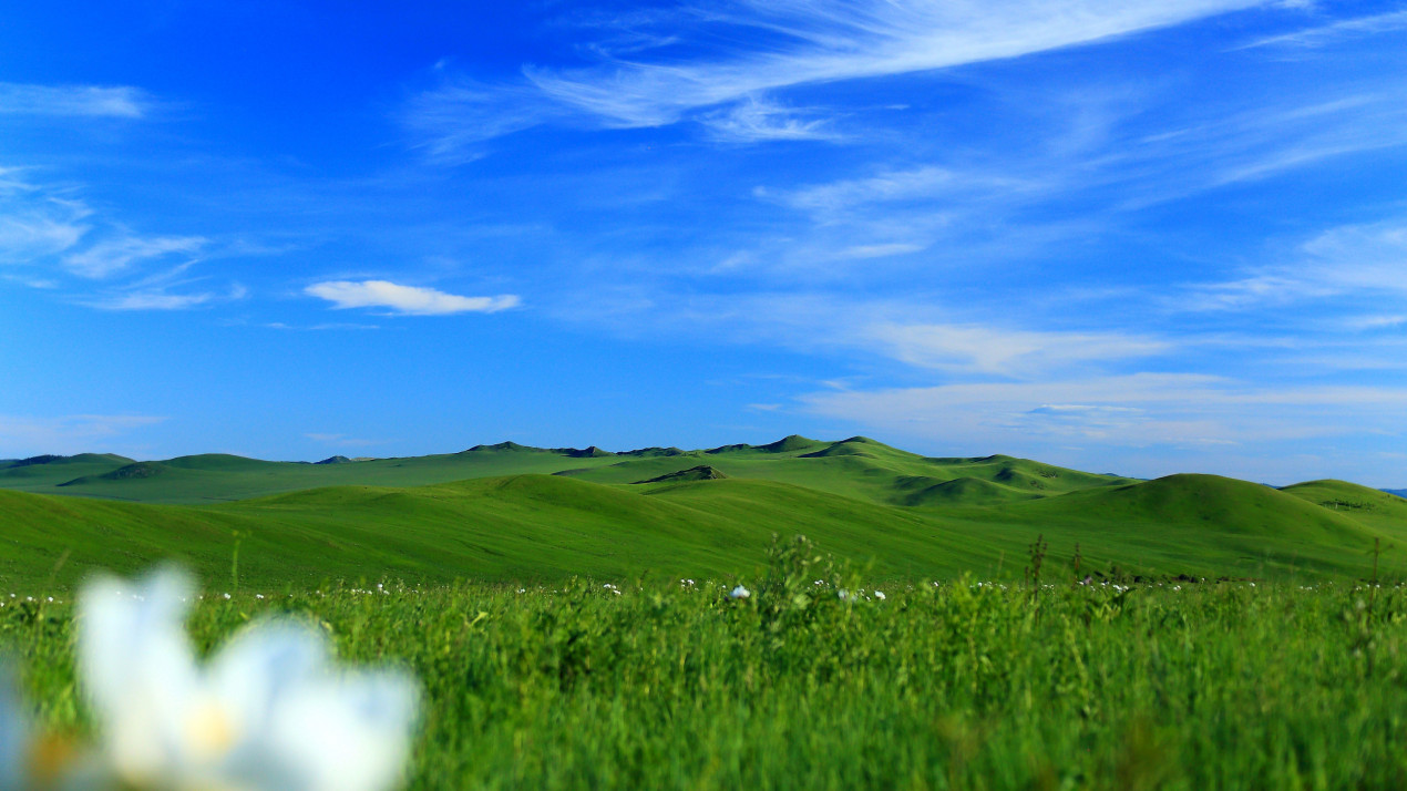Здесь когда-то были горы. Фото: Валерий Бекмаганбетов, участник фотоконкурса РГО «Самая красивая страна»