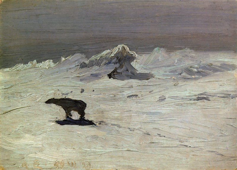 Борисов воочию наблюдал охоту на полярного медведя. Фото: wikipedia.org