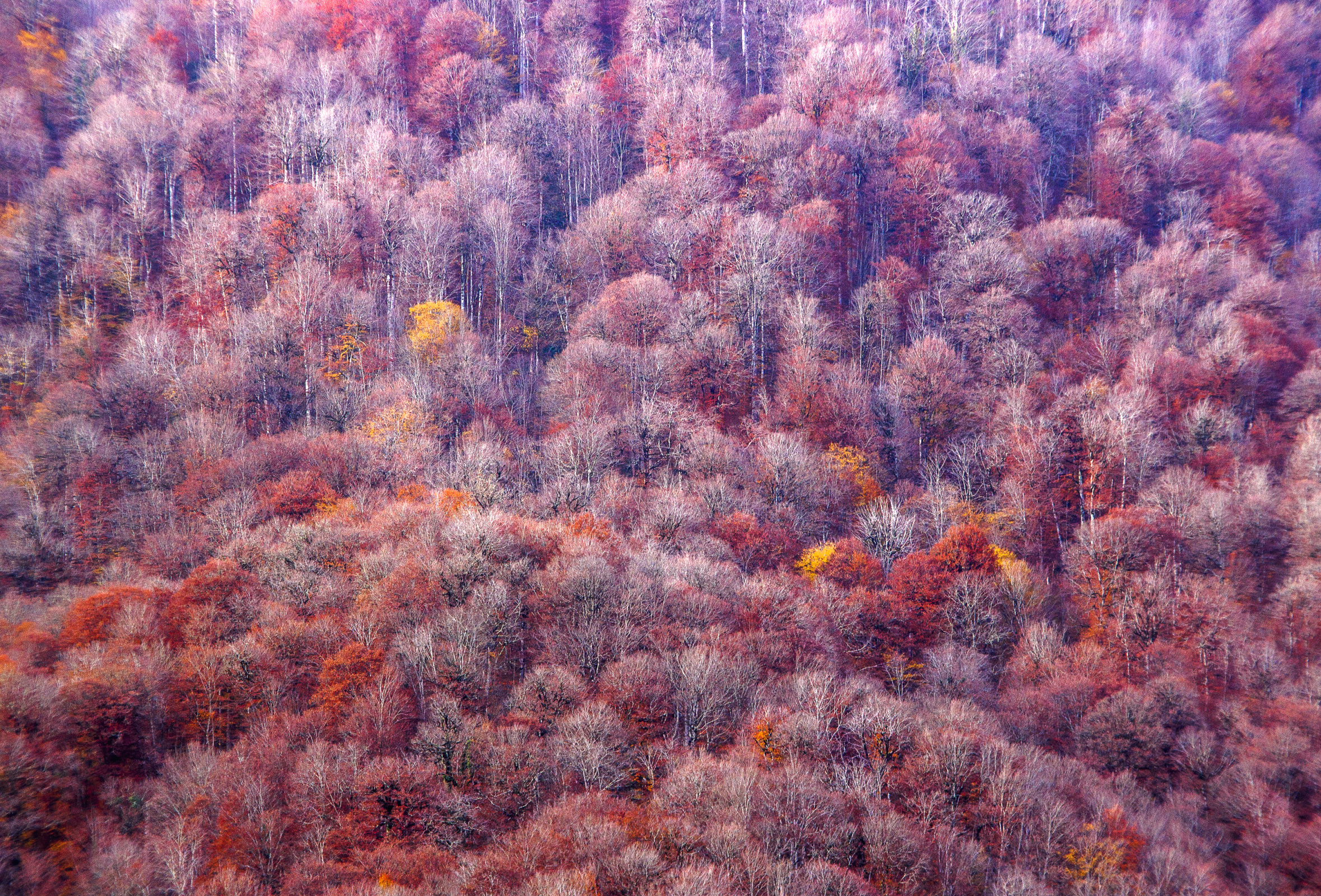 Фото: Сергей Шабанов, финалист III фотоконкурса